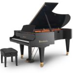 Najam klavira Euro-Unit (Bösendorfer Standard 225)